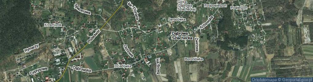 Zdjęcie satelitarne Wiśniowa ul.